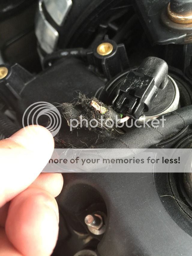 I had a lovely weekend. | Ford Focus ST Forum